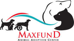 max-logo